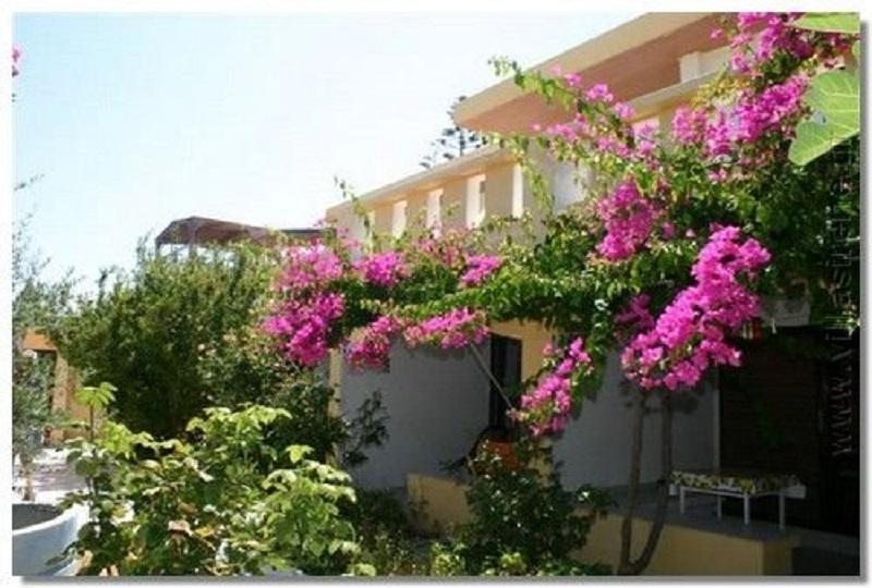 Irene Gournes Heraklion (Crete)